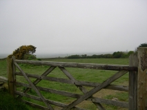 DSCN5798
