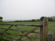 DSCN5799
