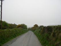 DSCN5801