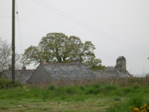 DSCN5806