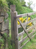 DSCN5807