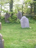 DSCN5592
