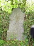 DSCN5593