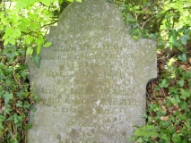 DSCN5594