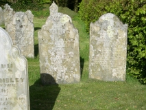DSCN5642