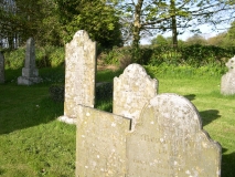 DSCN5647