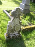 DSCN5655