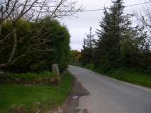 DSCN5521