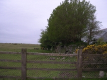 DSCN5527