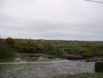 DSCN5528