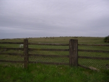 DSCN5530