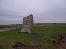 DSCN5531