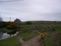 DSCN5532
