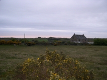 DSCN5536