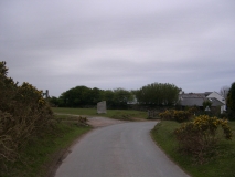 DSCN5537