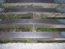 DSCN5540