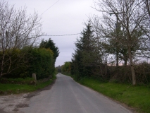 DSCN5541