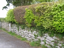 DSCN5712