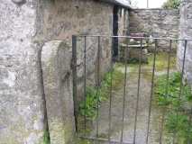 DSCN5742