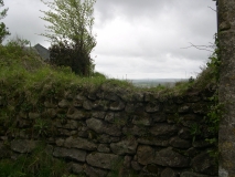 DSCN5746