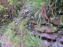 DSCN5748