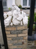 DSCN5783